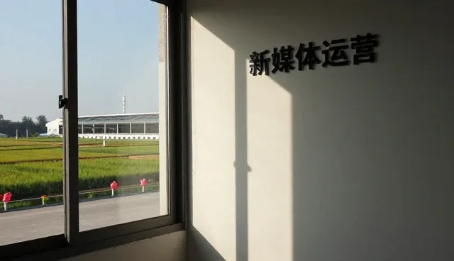 项目管理中如何制定有效的品牌推广化方案？